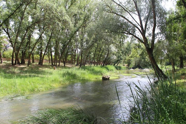 El río Henares a su paso por Espinosa de Henares